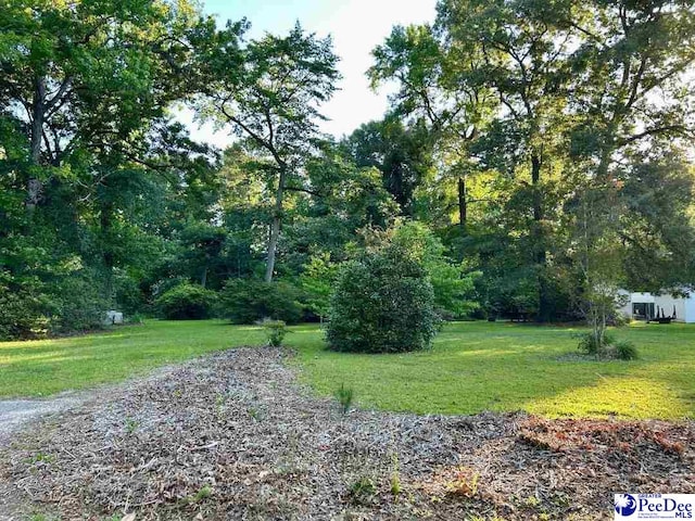 6914 Leslie Lewis Rd, Mullins, SC 29574