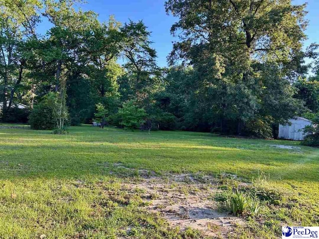6914 Leslie Lewis Rd, Mullins, SC 29574
