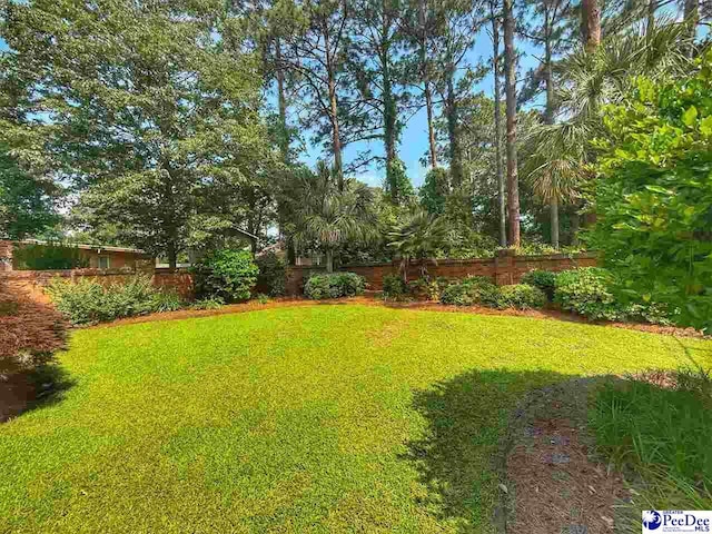 1219 Richard St, Dillon, SC 29536 - view of yard