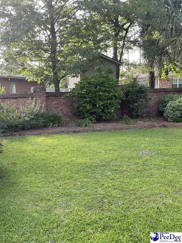 view of yard