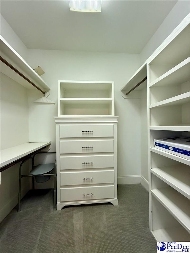 1219 Richard St, Dillon, SC 29536 - walk in closet featuring dark colored carpet