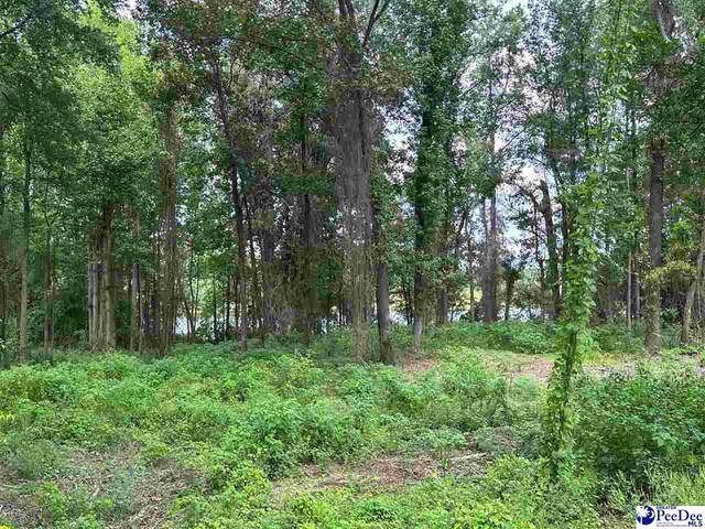 Listing photo 3 for LOT53 Mclaurin Lake Cir, Dillon SC 29536