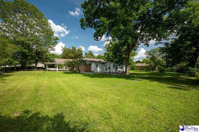 707 Chase St, Florence, SC 29501 - view of green lawn
