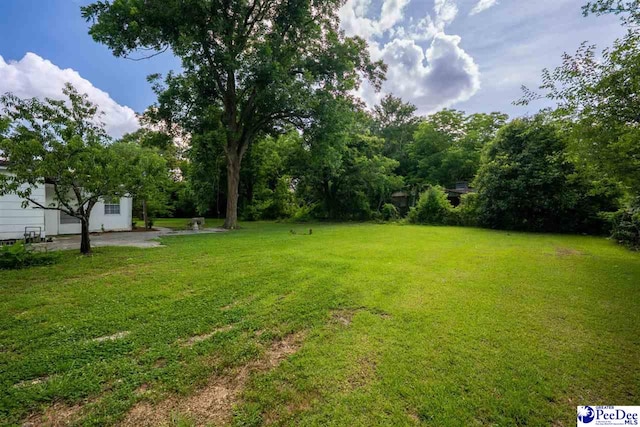 707 Chase St, Florence, SC 29501 - view of green lawn