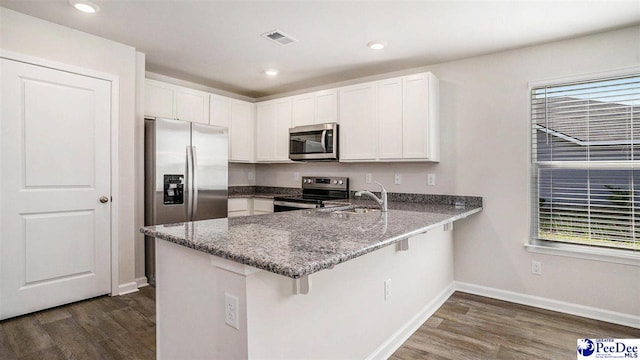 575 Strawberry Field Way, Galivants Ferry, SC 29544 - kitchen featuring appliances with stainless steel finishes, a peninsula, dark wood-style flooring, stone countertops, and recessed lighting