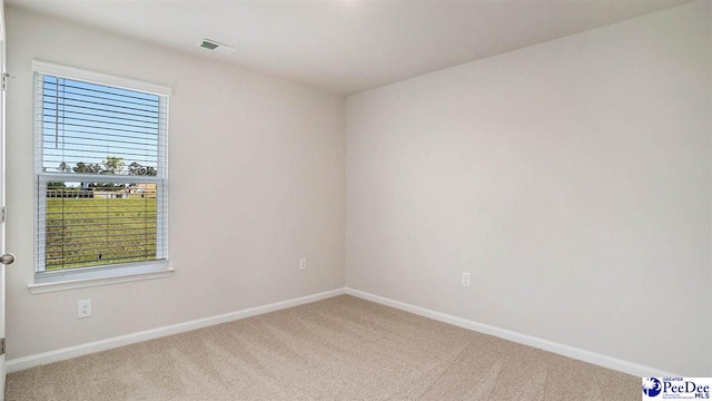575 Strawberry Field Way, Galivants Ferry, SC 29544 - carpeted spare room with plenty of natural light and baseboards