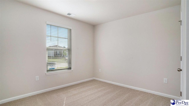 575 Strawberry Field Way, Galivants Ferry, SC 29544 - unfurnished room featuring plenty of natural light, baseboards, and light colored carpet