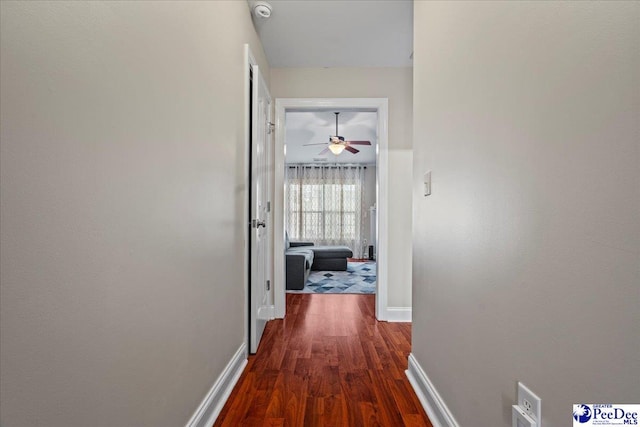 hallway featuring dark wood-type flooring