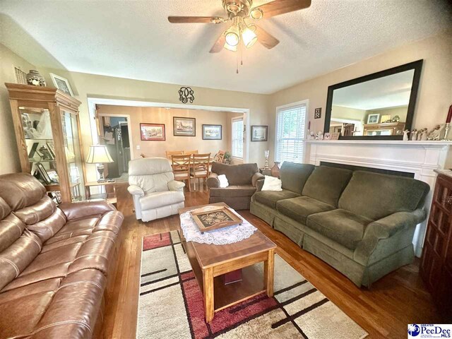 59 Lynn Ave, Cheraw, SC 29520 - living room featuring wood finished floors, a ceiling fan, and a textured ceiling