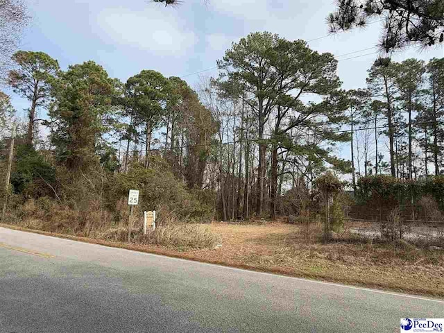 TBD Stratton Dr, Florence SC, 29501 land for sale