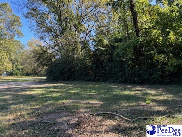 305 Marion Ave, Hartsville SC, 29550 land for sale