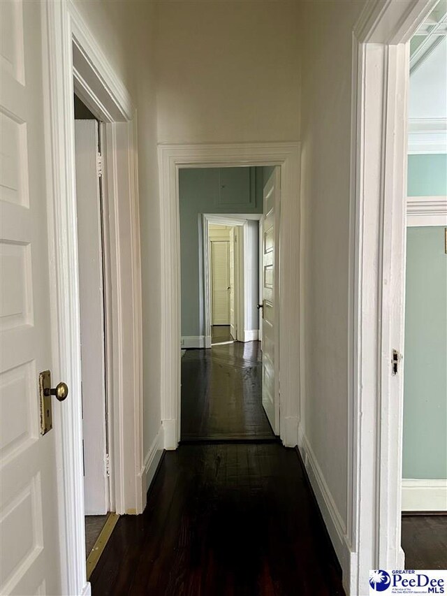 101 W Baptist St, Marion, SC 29571 - corridor with dark wood finished floors