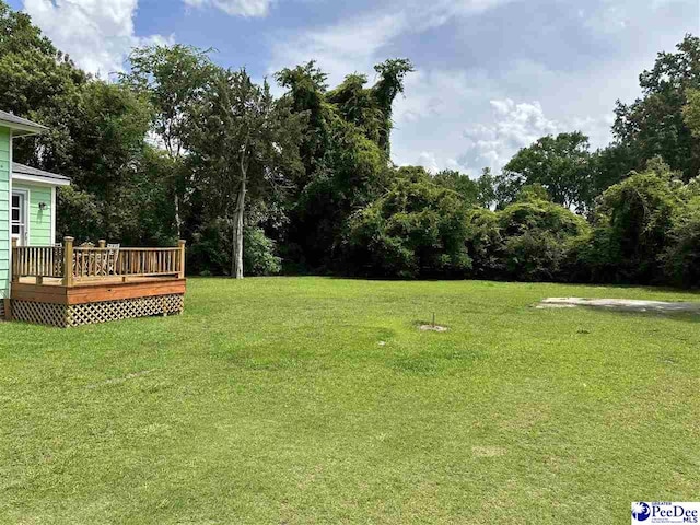 101 W Baptist St, Marion, SC 29571 - view of green lawn with a wooden deck