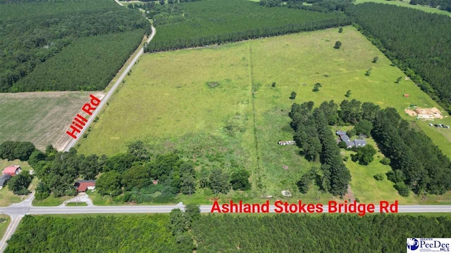 2645 Ashland Stokes Bridge Rd, Bishopville, SC 29010 - photo 3