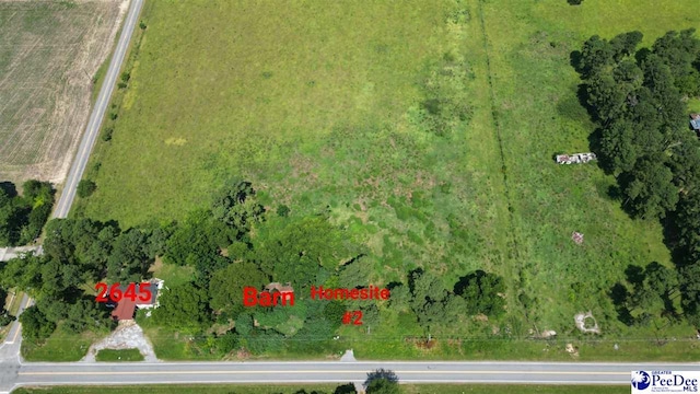 2645 Ashland Stokes Bridge Rd, Bishopville, SC 29010 - photo 11