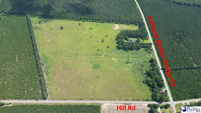 2645 Ashland Stokes Bridge Rd, Bishopville, SC 29010 - photo 9