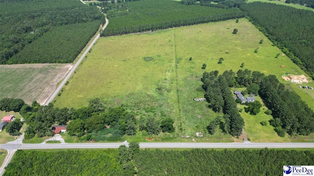 2645 Ashland Stokes Bridge Rd, Bishopville, SC 29010 - photo 2