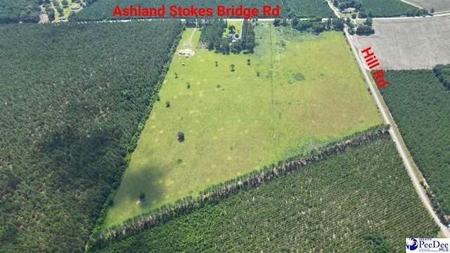 2645 Ashland Stokes Bridge Rd, Bishopville, SC 29010 - photo 7
