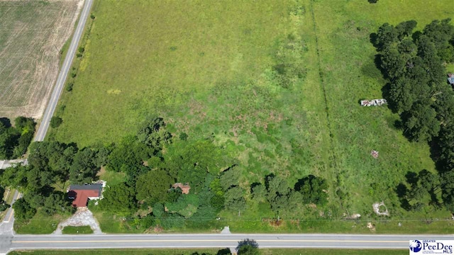 2645 Ashland Stokes Bridge Rd, Bishopville, SC 29010 - photo 10