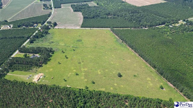 2645 Ashland Stokes Bridge Rd, Bishopville, SC 29010 - photo 4
