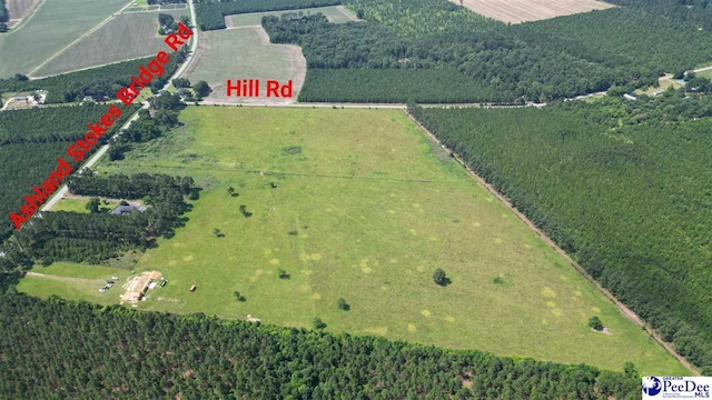 2645 Ashland Stokes Bridge Rd, Bishopville, SC 29010 - photo 5