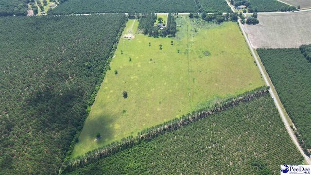 2645 Ashland Stokes Bridge Rd, Bishopville, SC 29010 - photo 6