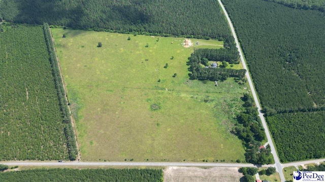 2645 Ashland Stokes Bridge Rd, Bishopville, SC 29010 - photo 8