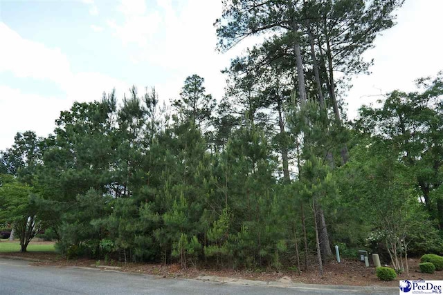 925 Ashton Dr, Florence SC, 29501 land for sale