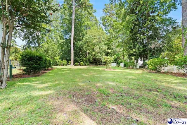 1174 Berkeley Ave, Florence, SC 29505 - photo 30