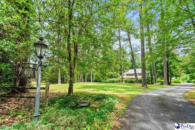 601 Cashua Fry, Darlington, SC 29532 - photo 3
