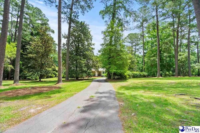 601 Cashua Fry, Darlington, SC 29532 - photo 65