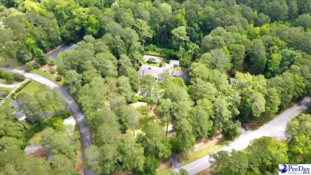 601 Cashua Fry, Darlington, SC 29532 - photo 72