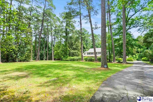 601 Cashua Fry, Darlington, SC 29532 - photo 2