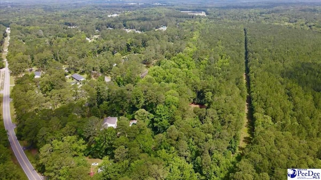 601 Cashua Fry, Darlington, SC 29532 - photo 74