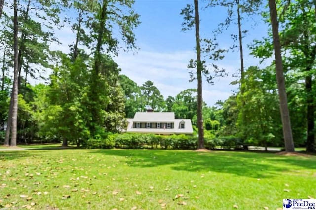 601 Cashua Fry, Darlington, SC 29532 - photo 64