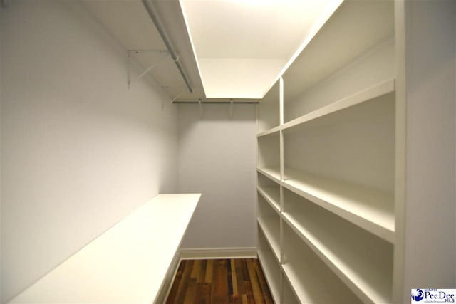 spacious closet featuring dark hardwood / wood-style flooring