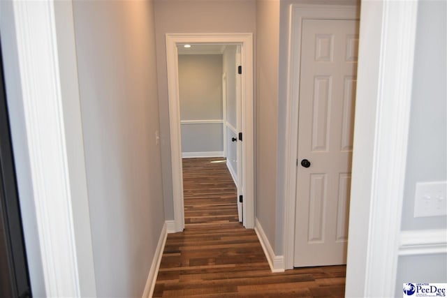 hallway with dark wood-type flooring