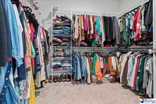 207 Compass Trl, Blythewood, SC 29016 - walk in closet with carpet