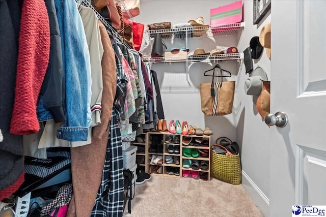 207 Compass Trl, Blythewood, SC 29016 - spacious closet featuring carpet