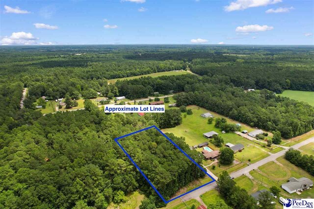 LOT1 Alma Ct, Marion, SC 29571 - photo 3