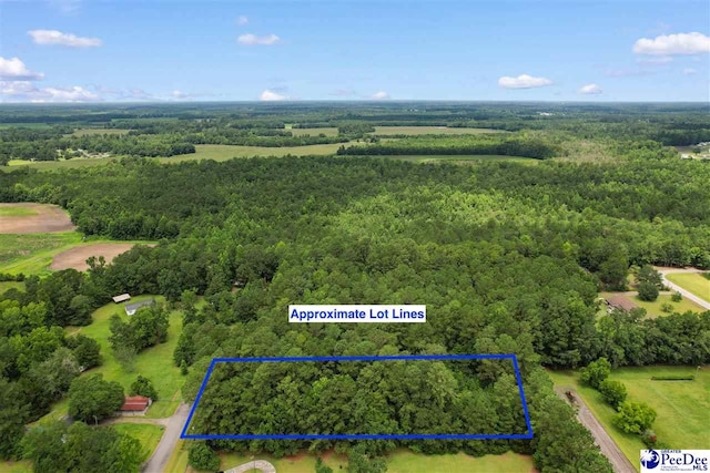 LOT1 Alma Ct, Marion, SC 29571 - photo 16
