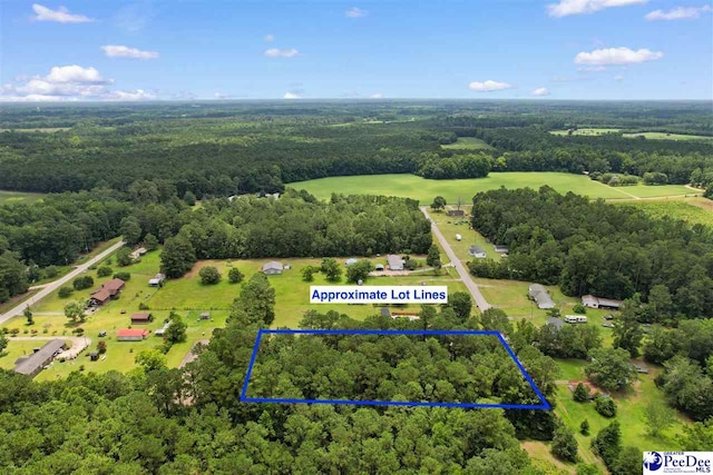 LOT1 Alma Ct, Marion, SC 29571 - photo 12