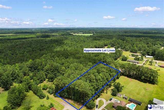 LOT1 Alma Ct, Marion, SC 29571 - photo 1