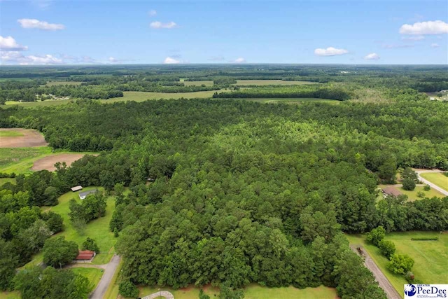 LOT1 Alma Ct, Marion, SC 29571 - photo 5