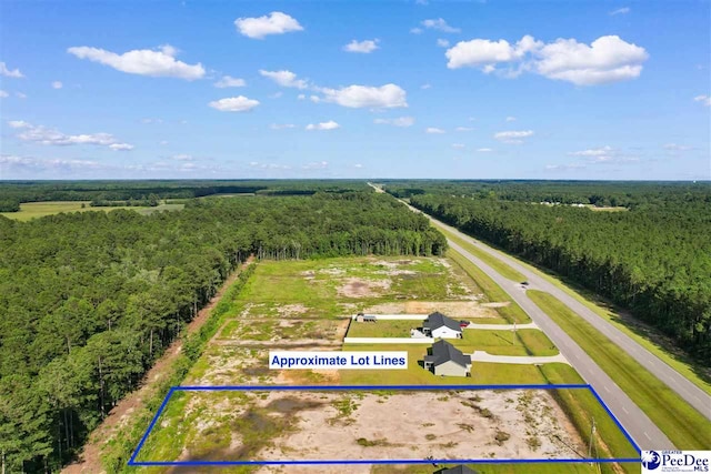 TBD Highway 9, Loris, SC 29569 - photo 3