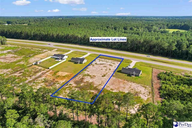 TBD Highway 9, Loris, SC 29569 - photo 5