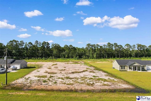 TBD Highway 9, Loris, SC 29569 - photo 17