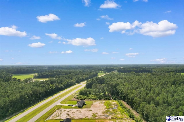TBD Highway 9, Loris, SC 29569 - photo 12