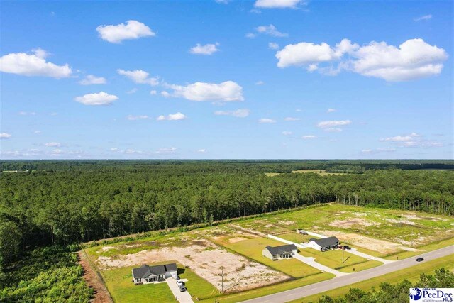 TBD Highway 9, Loris, SC 29569 - photo 2
