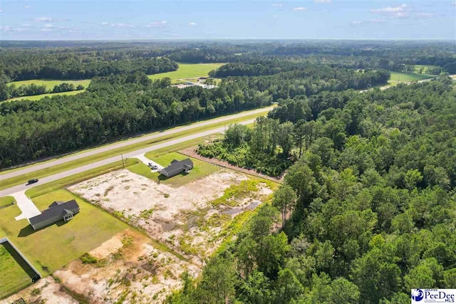 TBD Highway 9, Loris, SC 29569 - photo 10